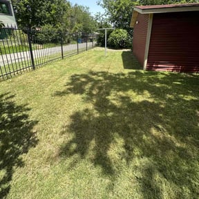 turf maintenance by Just Cuts Lawn Care reviewed on August 31, 2023