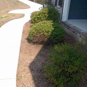 Bush Trimming by Yoshiro's Landscaping reviewed on August 19, 2025