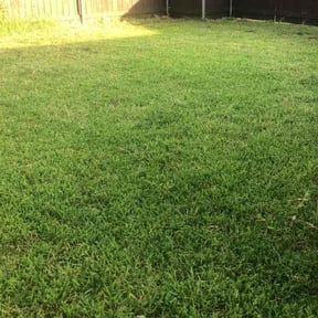 lawn maintenance by Big Country Lawn Care, LLc reviewed on October 14, 2023