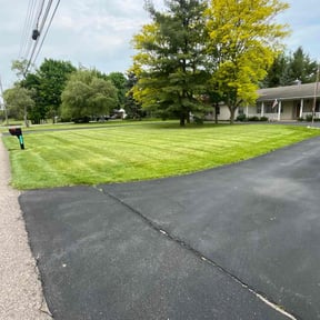 yard work by Alberto Landscape reviewed on October 22, 2025