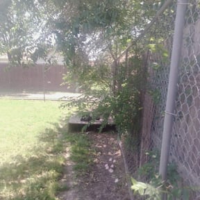 Bush Trimming by Faithful creations lawn care LLC reviewed on August 21, 2025