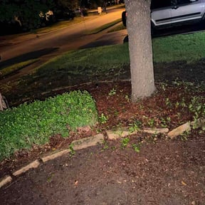 Bush Trimming by Spinelli Scenery Solutions LLC. reviewed on July 5, 2026