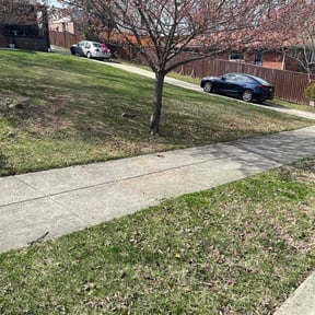 Flower Bed Weeding by Gregory Gray reviewed on April 1, 2026