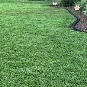 yard maintenance by Kingdom Men Lawncare & Landscaping reviewed on August 21, 2025