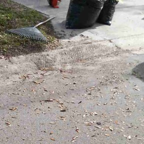 Leaf Removal by S&T OutDoors Solutions reviewed on August 21, 2025