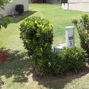 Bush Trimming by Kelsie's lawn pros reviewed on August 17, 2025