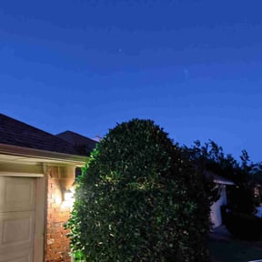 Bush Trimming by Schuetz Landscaping Services reviewed on August 15, 2025
