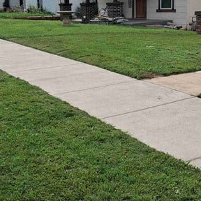 lawn care services by Lego lawn services reviewed on December 30, 2023