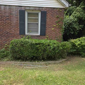 Bush Trimming by J&B Landscaping reviewed on August 17, 2025