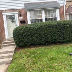 Bush Trimming by ETC Services reviewed on April 3, 2026