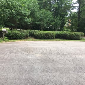 Bush Trimming by Uppercuts Lawn Care reviewed on August 20, 2025