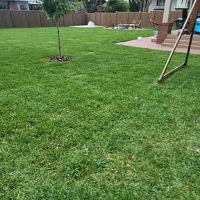 turf care by CACTUS PRIME VENTURES LTD reviewed on August 18, 2025