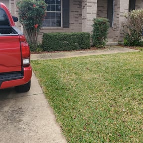 Bush Trimming by Morris Lawncare reviewed on August 19, 2025