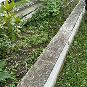 Bush Trimming by ABC Landscaping Group reviewed on August 15, 2025