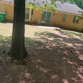 Leaf Removal by Lawn Bro's reviewed on September 16, 2025