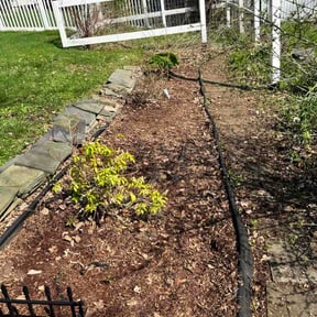 Flower Bed Weeding by Green Wing Lawn Care reviewed on April 18, 2026