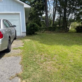 Bush Trimming by Mts mowing and tree service reviewed on December 5, 2025