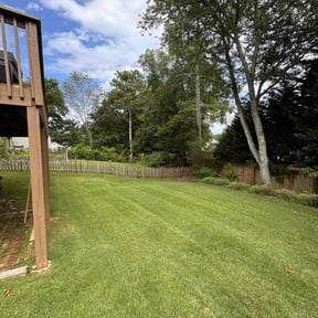 yard maintenance by C&J Landscaping reviewed on August 19, 2025