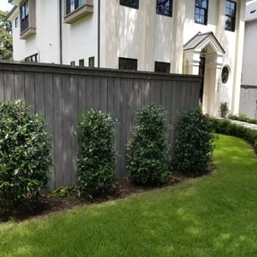 Bush Trimming by San City Lawn Care reviewed on August 18, 2025