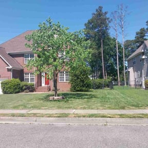 landscape maintenance by Valencia Landscaping reviewed on November 21, 2025