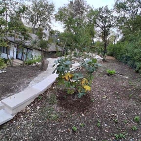 Leaf Removal by R&amp;T H Home Services LLC reviewed on November 19, 2025