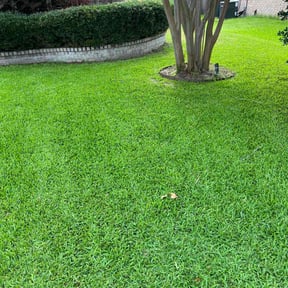 yard service by Forest Green Lawn & Landscaping, LLC reviewed on August 19, 2025