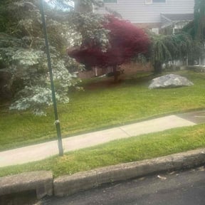 lawn maintenance by Lawns by leo reviewed on May 2, 2024