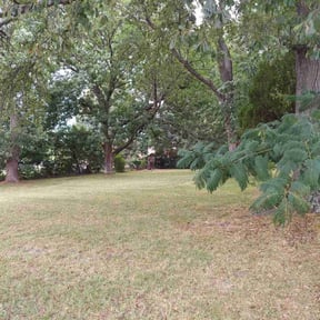 lawn maintenance by General Hendley reviewed on March 29, 2024