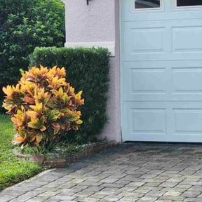 Bush Trimming by Wichi landscaping reviewed on November 23, 2025