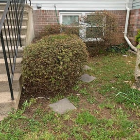 Bush Trimming by J&M Landscaping reviewed on August 21, 2025