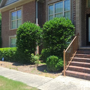 Bush Trimming by KD lawn service reviewed on August 15, 2025