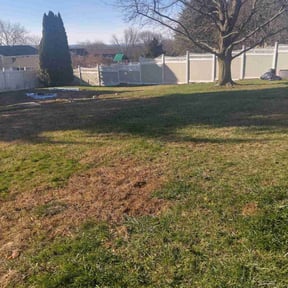 Leaf Removal by Precision lawn care and more reviewed on November 30, 2025