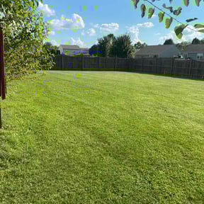 gardening service by Cutz by Ryker reviewed on November 18, 2025