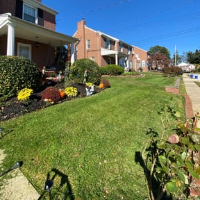 landscaping services by Nick's Lawn & Order reviewed on August 20, 2025