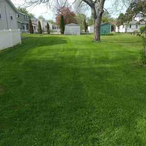 yard service by Gator Cutz Lawn Care, LLC reviewed on August 18, 2025