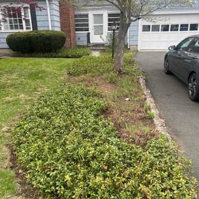 Flower Bed Weeding by CDH Landscaping LLC reviewed on April 24, 2026