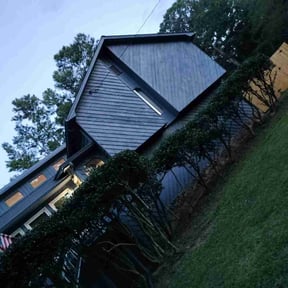 Bush Trimming by Billy Stone reviewed on November 8, 2025