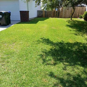 yard work by Willow Tree Landscape reviewed on August 19, 2025