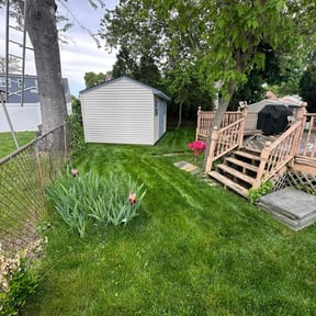 grass cutting by Harvey Handy & Lawn reviewed on May 25, 2025