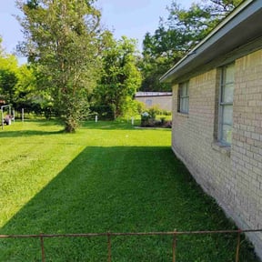 yard work by Avanza Landscaping & Maintenance reviewed on August 19, 2025