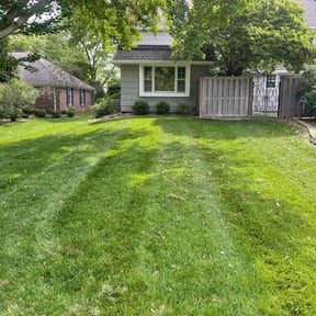 yard work by Smith's Services reviewed on August 16, 2025