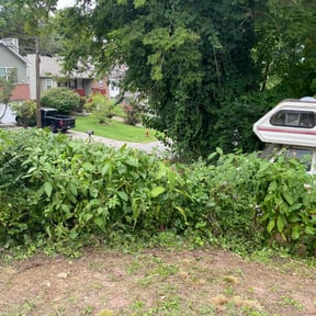 Bush Trimming by Kingsmen Lawn Service reviewed on August 21, 2025