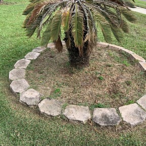 Flower Bed Weeding by Bernal landscaping reviewed on August 21, 2025