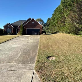 turf maintenance by Ramon Moreno reviewed on November 19, 2024