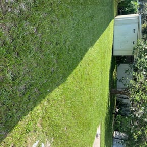 yard maintenance by Hyde reviewed on August 19, 2025
