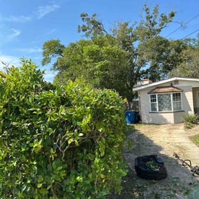 Bush Trimming by G&amp;G Yard Care reviewed on November 9, 2025