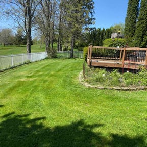 residential landscaping by Monique&#039;s Quality Services reviewed on August 20, 2025