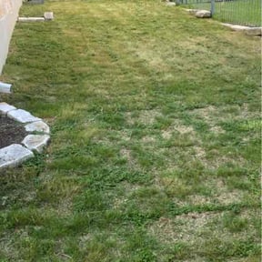 Flower Bed Weeding by Powell Lawn Care reviewed on June 27, 2026