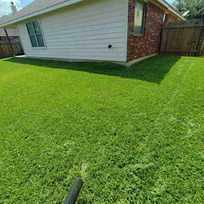 landscape maintenance by Hernandez Landscaping & Designs reviewed on August 17, 2025