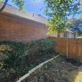 Bush Trimming by Lands camping cabrera reviewed on August 18, 2025